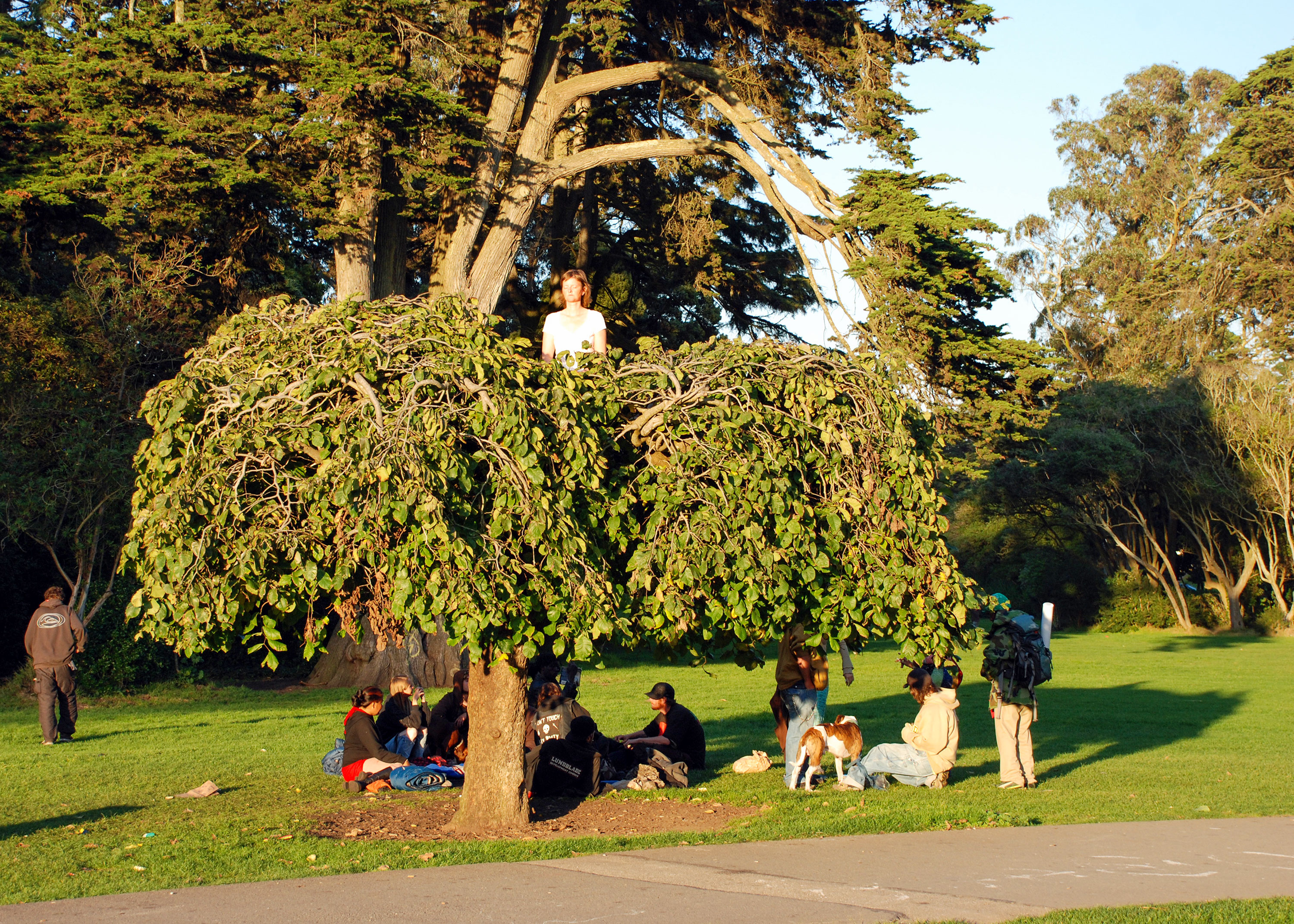 How to become a Hippie?